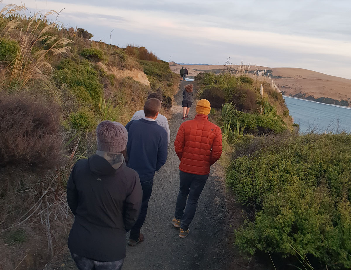 People walking a path