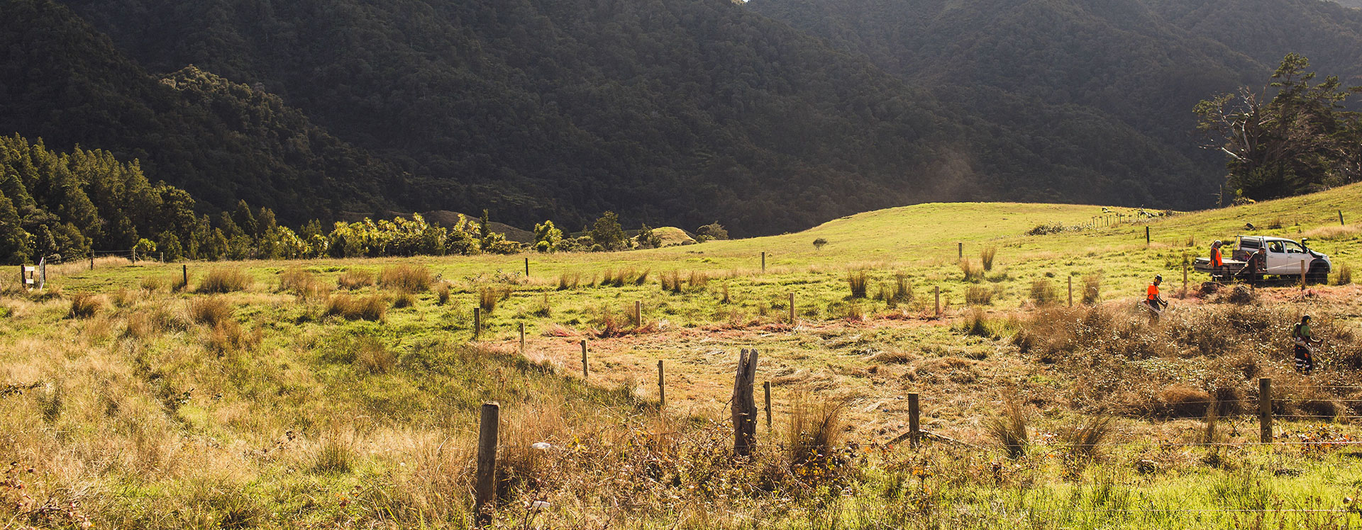 men working farmland