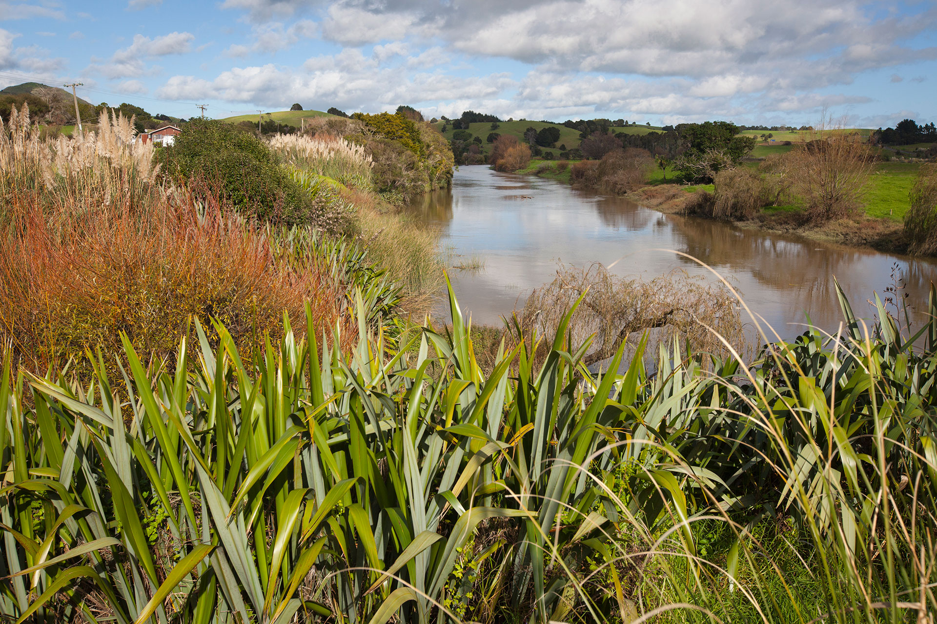 Mātauranga Māori